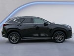 2025 Lexus NX NX 250 Premium