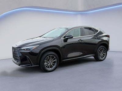 2025 Lexus NX NX 250 Premium
