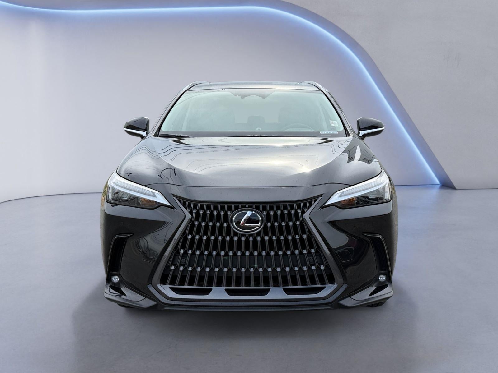 2025 Lexus NX NX 250 Premium