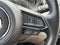 2023 Mazda Mazda CX-9 Signature