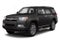 2013 Toyota 4Runner 4WD 4dr V6 SR5 (Natl)