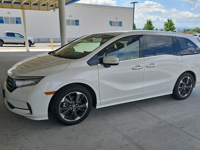 2024 Honda Odyssey Elite