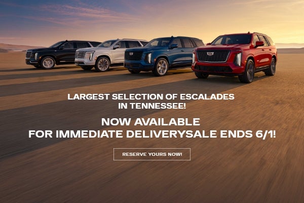 Largest selection of Escalades in Tennessee!